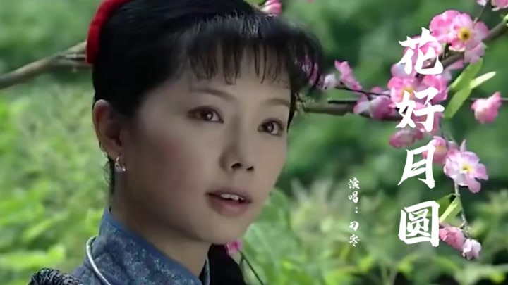 1995年红遍中国的歌曲《花好月圆》,刁寒成名作,现在听依然好听