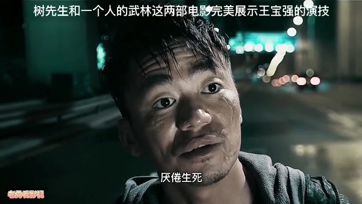 王宝强,文戏巅峰:树先生 武戏巅峰:封于修
