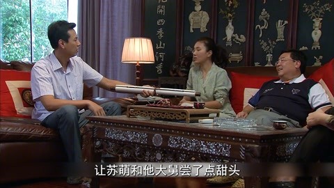 程建军设局,苏萌搞起批发,电视剧《正阳门下》