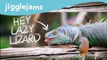 英语儿歌 蜥蜴宠物歌 Hey Lazy Lizard