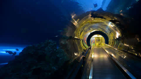 论基建中国还没怕过谁,挑战世界上最长的海底隧道