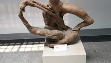 岳阳博物馆里的根雕艺术展，惟妙惟肖，这就是艺术的魅力！