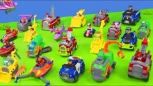 儿童玩具中心：玩具拆箱，来自毛毛小砾阿奇天天灰灰的玩具车