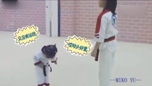 龙拳小子林秋楠，跟小妹妹一起练习跆拳道 ，楠哥妹妹太可爱了！