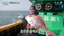 三时三餐 刘海镇时隔5年钓到大鱼，激动到说不出话，晚上有鱼吃了
