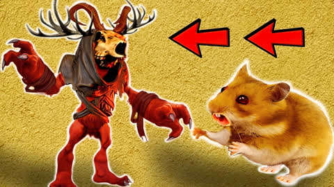仓鼠vs蝎子图片