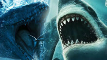 巨齿鲨遇到沧龙！到底谁才是海底最强，没想到输的这么惨
