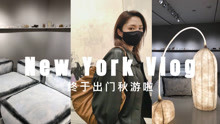 【ninido】纽约Vlog | 逛吃逛吃的博物馆画廊之旅 | 为冬天养膘了 | Homemade意大利面分享