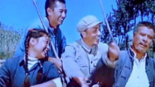 1965年老电影《青松岭》插曲，蒋大为《沿着社会主义大道奔前方》