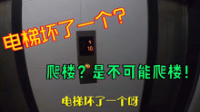外卖哥送餐到楼下，发现电梯坏了一个：爬楼？是不可能爬楼的！