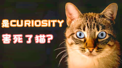 用英语怎么说好奇害死猫?curiosity kills the cat