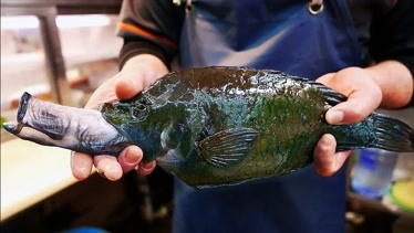 日本街头美食长嘴外星鱼外表看着很瘆人但吃起来真香