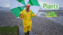 Blippi Learns About The Weather! Educational Videos