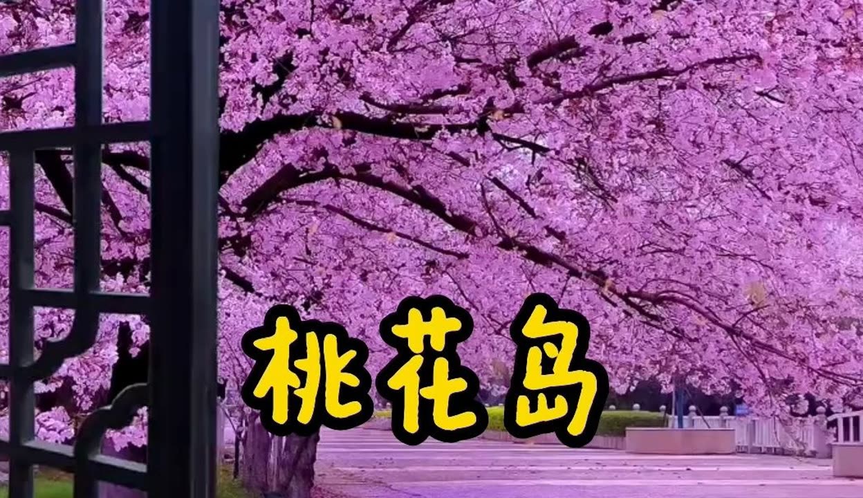 仙剑奇侠传桃花岛音乐（仙剑奇侠传桃花岛音乐仙剑奇侠传桃花岛） 仙剑奇侠传桃花岛音乐（仙剑奇侠传桃花岛音乐仙剑奇侠传桃花岛） 音乐大全