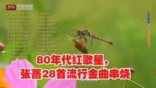 [图]唱片销量过百万，80年代红歌星，张蔷28首流行金曲串烧