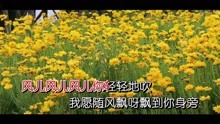 [图]霍一平 - 菊花盛开醉秋风(云星文化KTV)