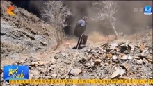 四川：斑羚被困百米悬崖上，民警“索降”成功救援