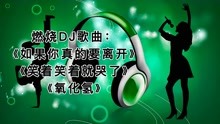 [图]燃烧DJ歌曲：《如果你真的要离开》《笑着笑着就哭了》《氧化氢》