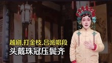 [图]越剧吕派唱段《打金枝.头戴珠冠压鬓齐》