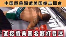 中国超级巨兽，美国拳击名将被他KO昏迷，22连胜书写不败金身！