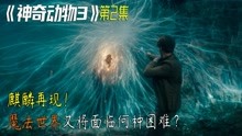 [图]2022年最新奇幻大片《神奇动物3》邓布利多和格林德沃的爱恨情仇