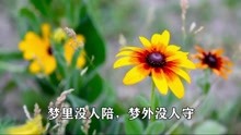 [图]王爱华一首《漫漫长路何时休》真心好听，肯定要火!