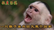 一只猴子引发的极度恐慌，死亡率100%不亚于埃博拉病毒！