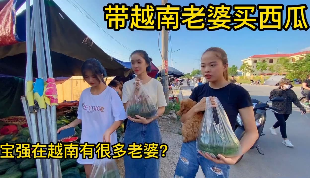 越南宝强图片