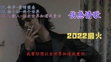 [图]2022伤感DJ情歌《爱情堡垒+让全世界知道我爱你+忘不了的某某某》