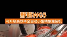 Common Cider的野鹅WG5 #小型精酿灌装设备