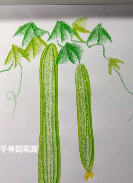 丝瓜简笔画彩色幼儿图片