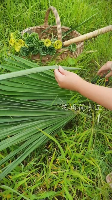 棕榈叶编织玫瑰花教程图片