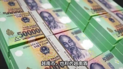 越南币20万图片