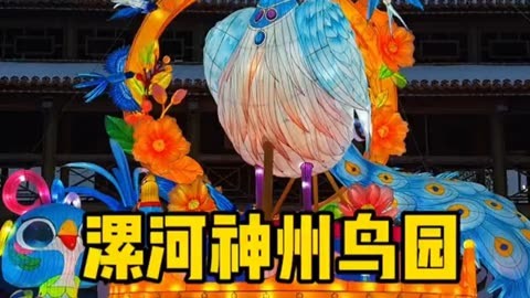 漯河神鸟园图片