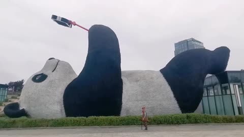 都江堰熊猫自拍广场图片