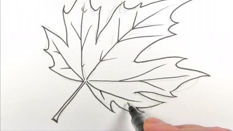 教你用铅笔画一个枫叶,缓缓飘落的枫叶像思念