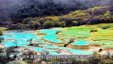 黄龙五彩池海拔多少米?3576米,是世界上规模最大海拔最高彩池群