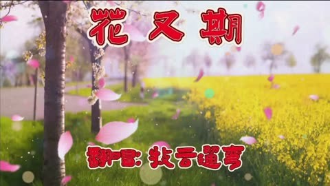 《花又期》这首网红流行歌曲