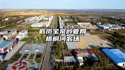 鹤岗梧桐机场图片