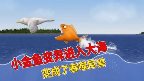 海洋奇遇记图片